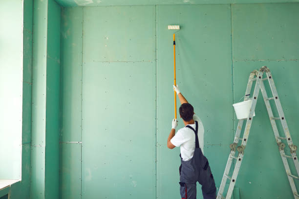 Best Emergency Mold Remediation  in Loretto, PA