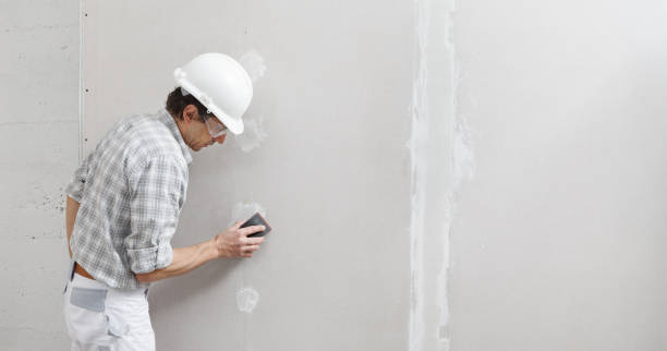 Best Mold Documentation for Insurance Claims  in Loretto, PA