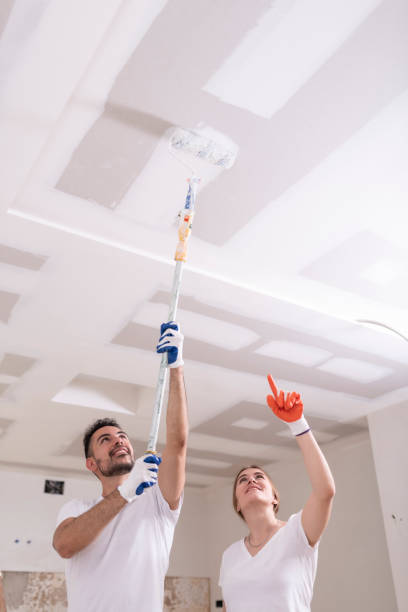 Loretto, PA Mold Removal Company
